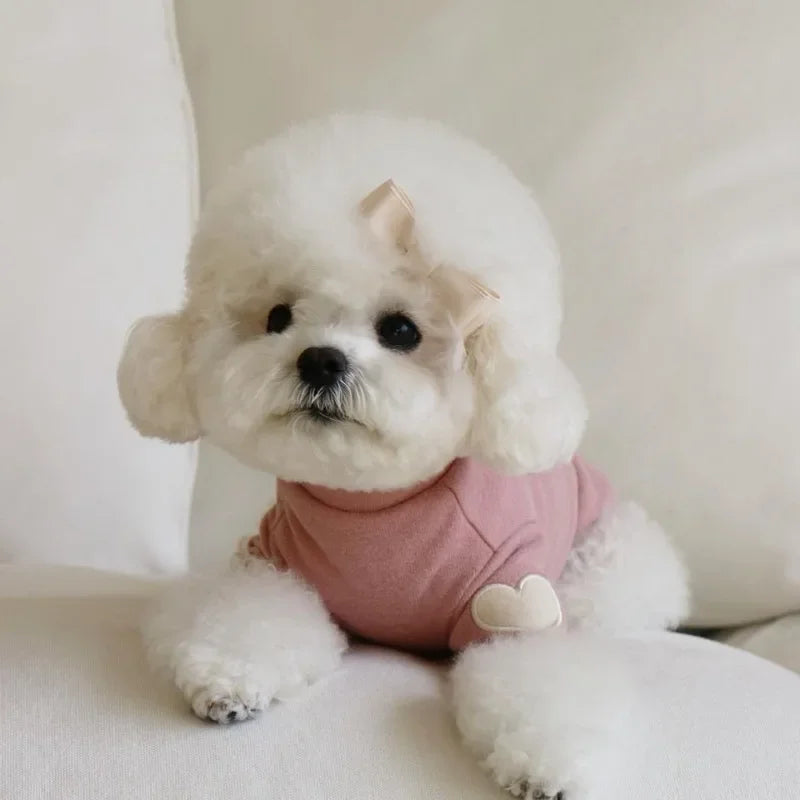 Bear Print Pet Hoodie
